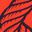 Blood orange