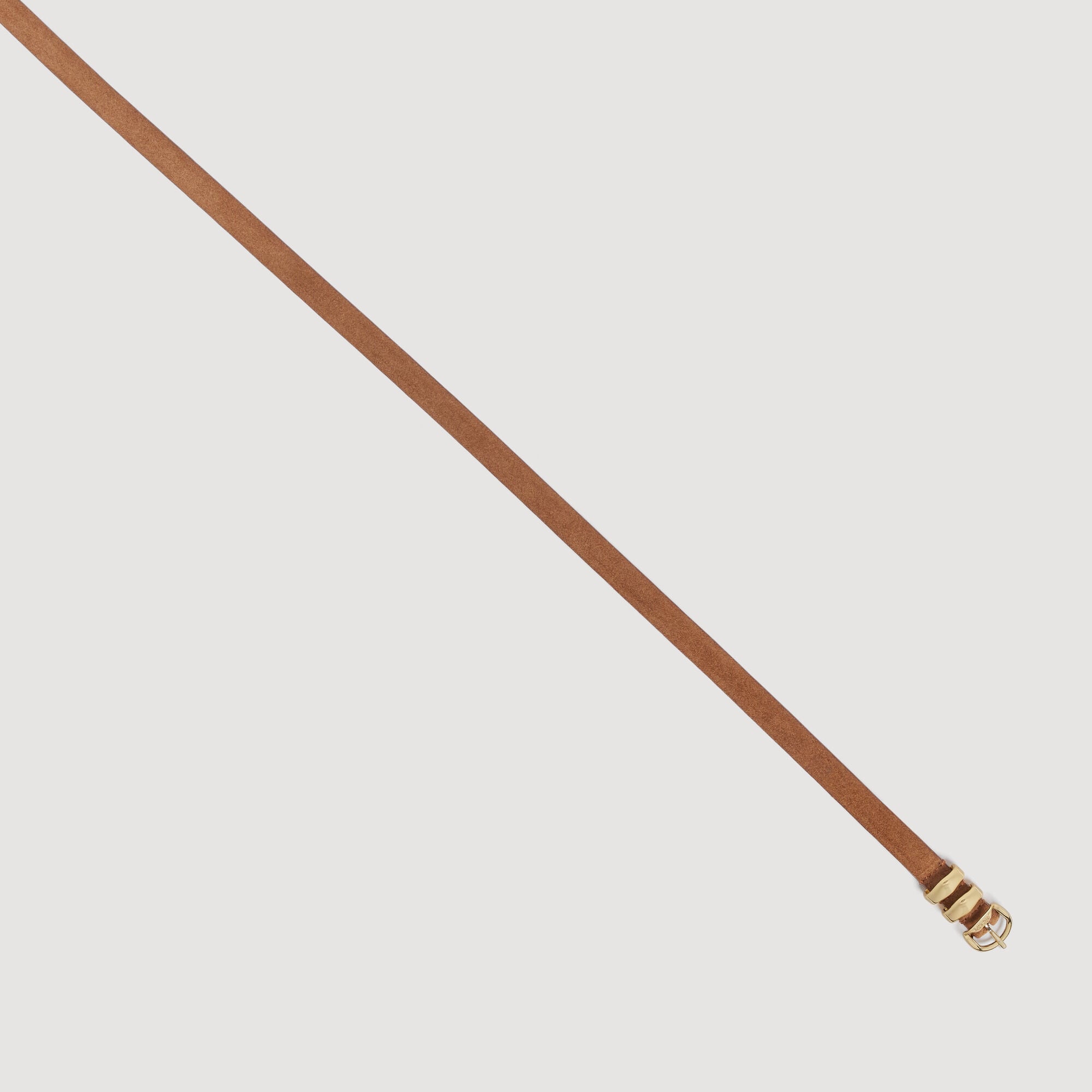 Cintur&oacute;n de ante